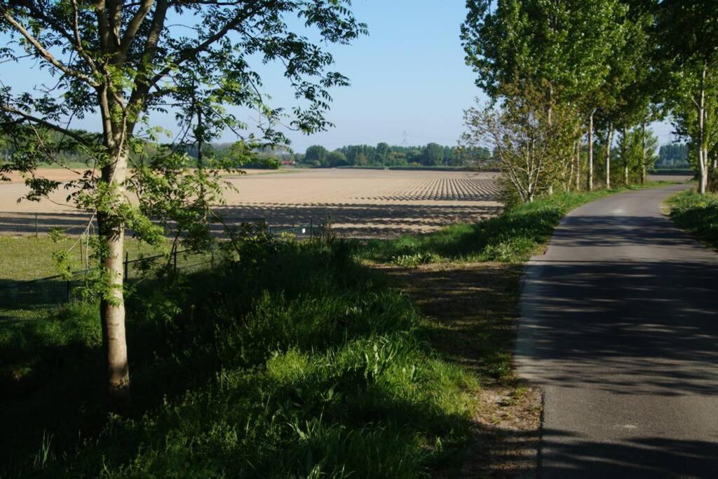 Vakantiewoning Het Olietunnetje Ovezande Bagian luar foto